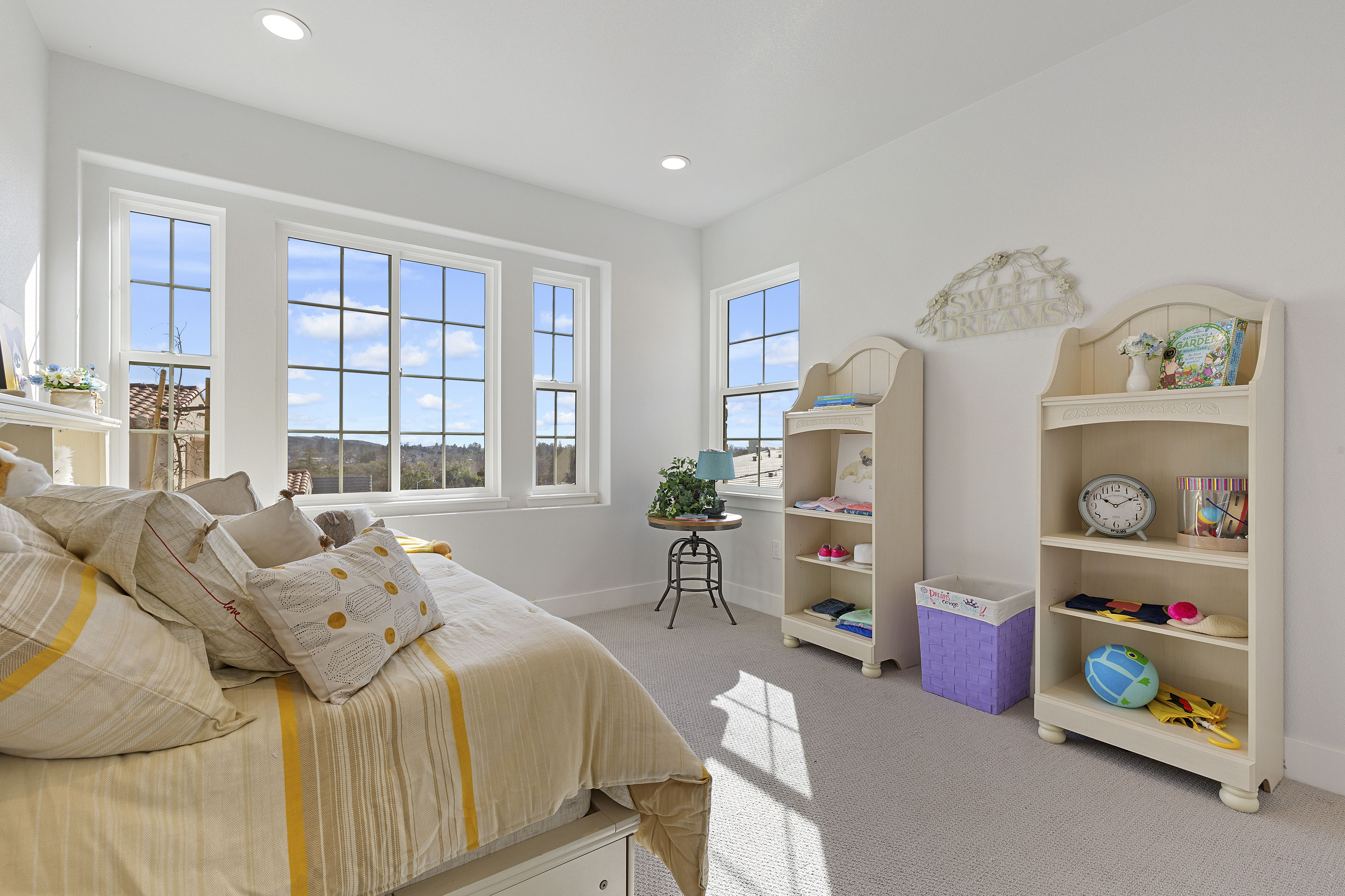 Bedroom carpet | Elite Builder Services