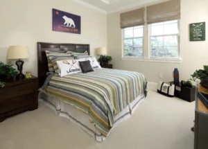 Bedroom carpet | Elite Builder Services