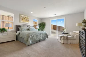 Soft carpet | Elite Builder Services