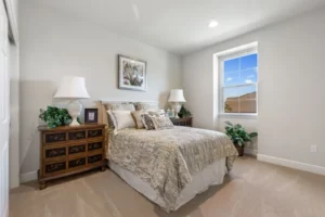 Bedroom carpet | Elite Builder Services