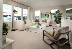 living room carpet | Elite Builder Services