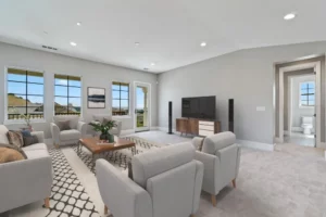 Living room carpet | Elite Builder Services