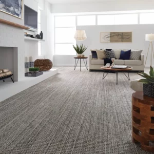 Living room carpet | Elite Builder Services