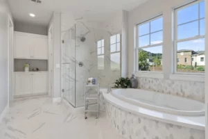 Bathtub | Elite Builder Services